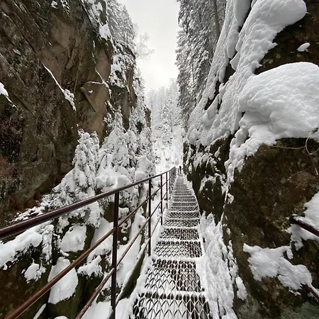 Appartement Gorska Osada 5 *