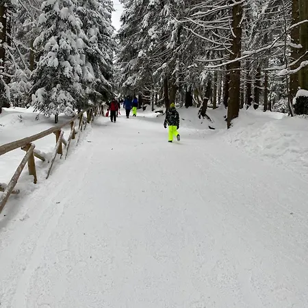 Górska Osada 5 * Szklarska Poręba